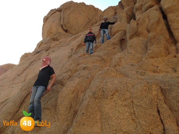 sharmelskhe7 (9).JPG